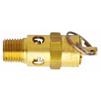 Milton Industries 1090-200 Asme Saf. Valve 1/4"Npt 200
