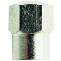 Valve Caps