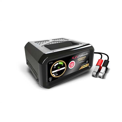 Fully Automatic Battery Charger