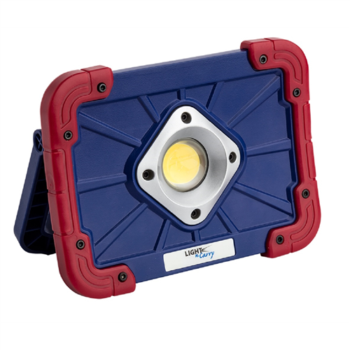 1000 Lumen COB LED Flood Light