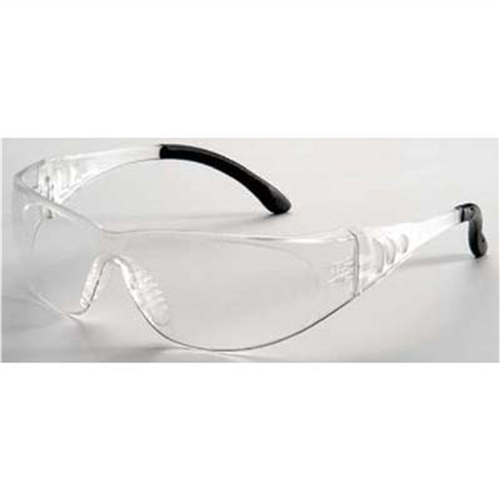 Clear Visitor Glasses
