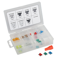 TitanÂ® 36-Piece Low Profile Mini Fuse Assortment