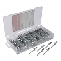 100 Piece 1/4 in x 1/2 in Aluminum/Steel Rivet Set