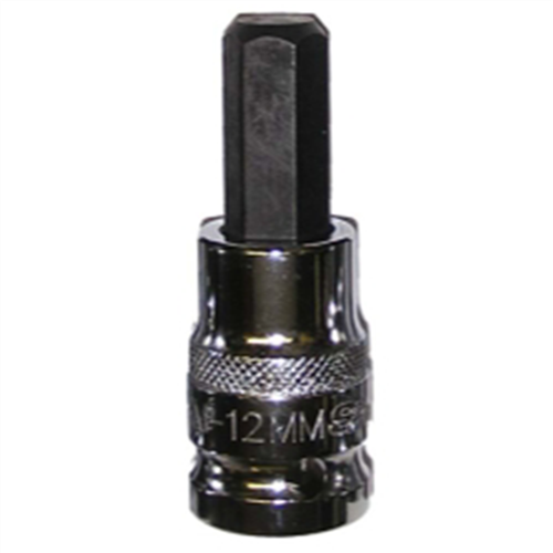 1/2 in. Drive 12mm Hex Bit