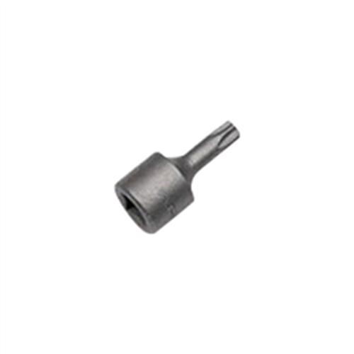 Tamper Proof Torx Bit T25