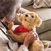 Alzheimer's Pet Therapy Robotic Dog or Cat joy for all ageless innovations dementia