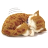 Perfect Petzzz therapy pets orange tabby