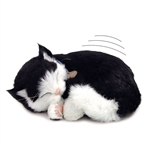 Perfect Petzzz therapy pets black white kitten cat