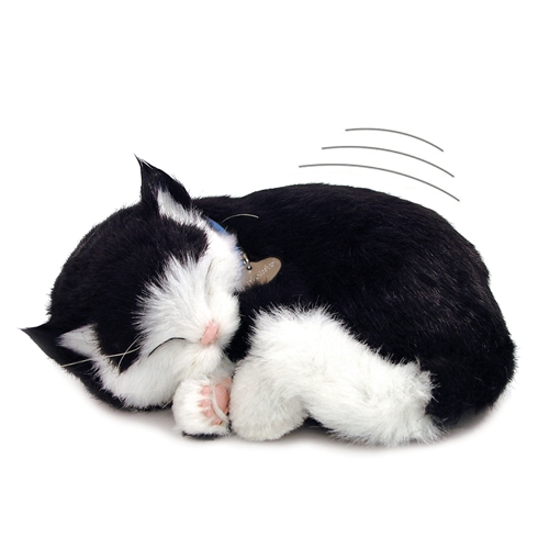 Perfect Petzzz therapy pets black white kitten cat