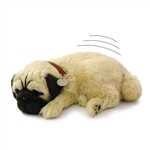Perfect Petzzz therapy pets pug puppy dog for Alzheimer's and Dementia