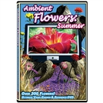 ambient summer flowers dvd