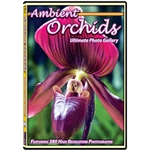 ambient flowers dvd orchids