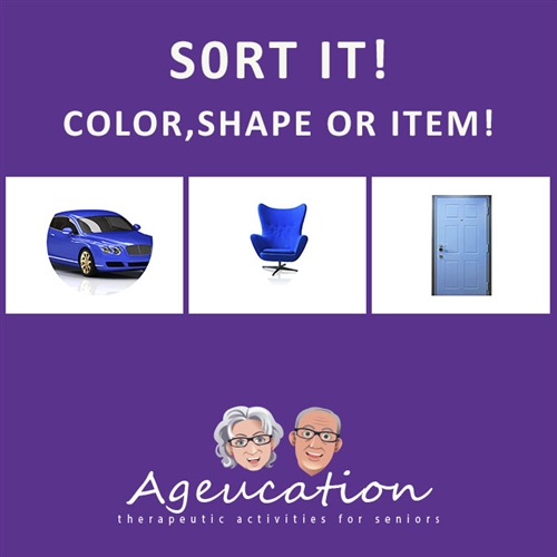 sort it game activity for alzheimers and dementia patients