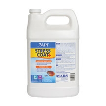 API Stress Coat 1 Gallon
