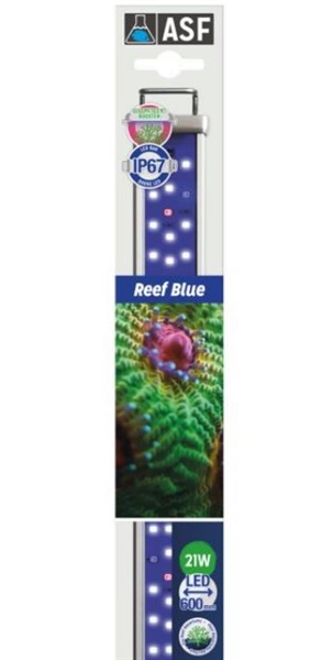 ASF Proten LED Reef Blue 24"-36"