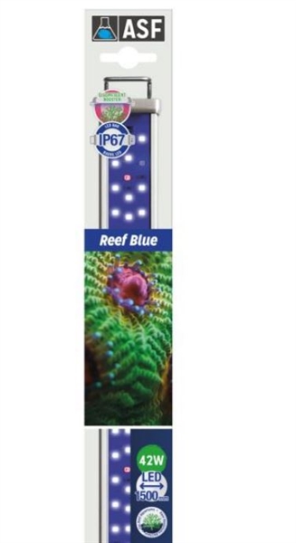 ASF Proten LED Reef Blue 60"-72"