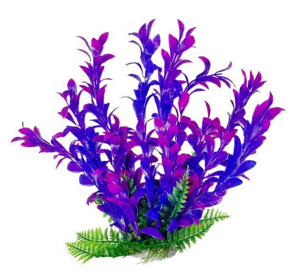 Aquatop Plant Hygrophila Pink/Purple 6"