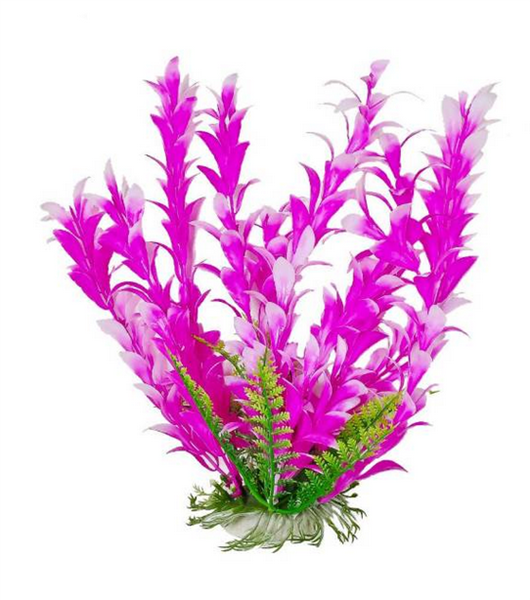 Aquatop Plant Bacopa Pink/White 6"