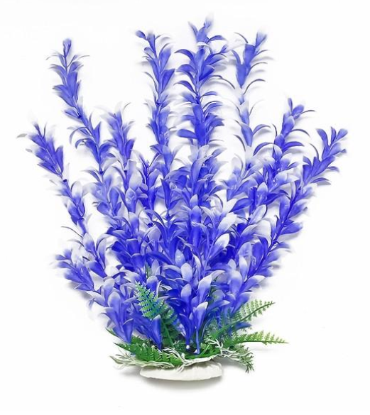 Aquatop Plant Bacopa Blue/White 6"