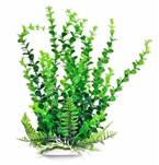 Aquatop Plant Bacopa 6"