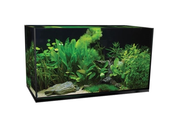 Aquatop Forza 44g Rectanular Bundled Tank Kit (35" x 17.5" x 17.25")