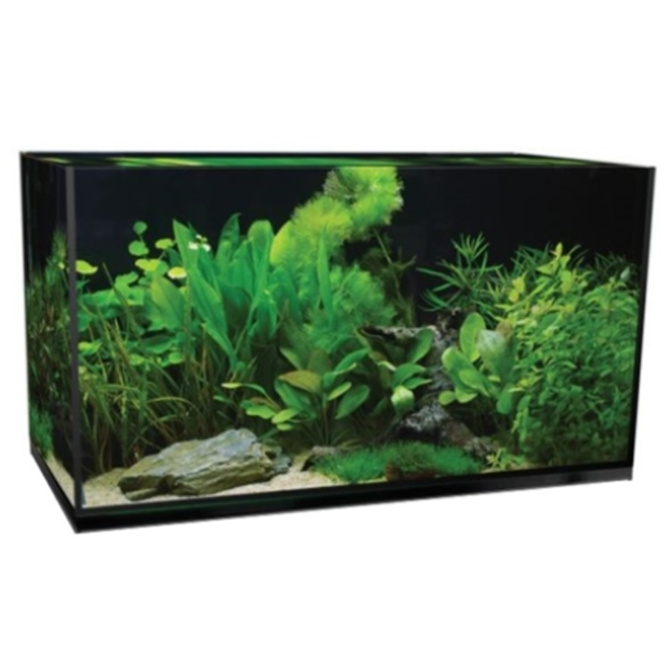Aquatop Forza 44g Rectanular Bundled Tank Kit (35" x 17.5" x 17.25")