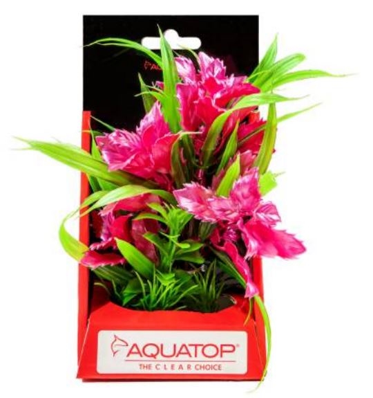 Aquatop Vibrant Passion Rose Plant 6"