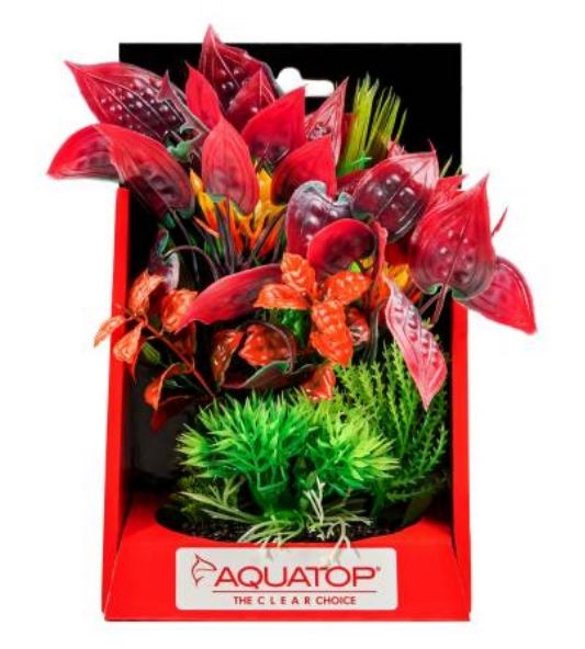Aquatop Vibrant Wild Mixed Red Plant 6"