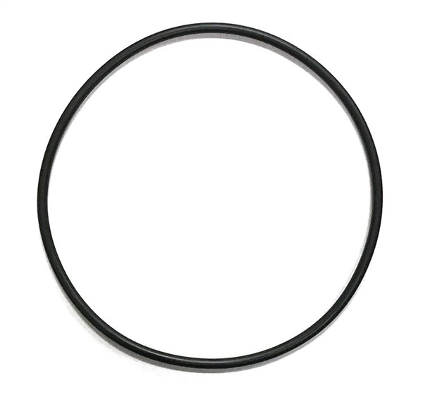 AquaUltraviolet ULTIMA II Filter O-Ring for 1,000 to 20,000