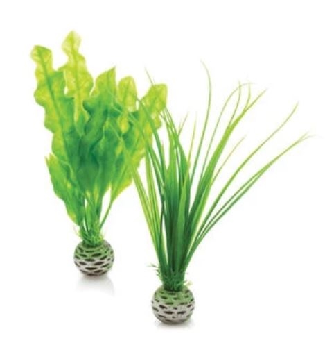 biOrb Easy Plant Green Small Set of 2