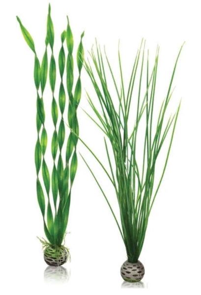 biOrb Easy Plant Green Tall Set of 2