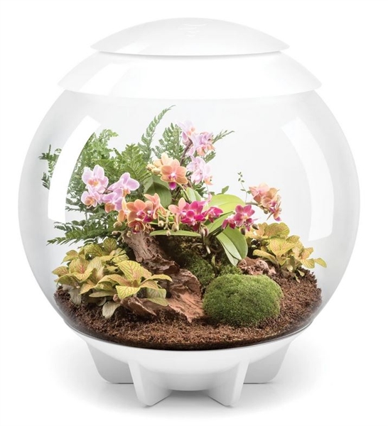 biOrb AIR 60 LED Terrarium - WHITE