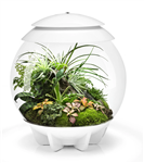 biOrb AIR 30 LED Terrarium - White