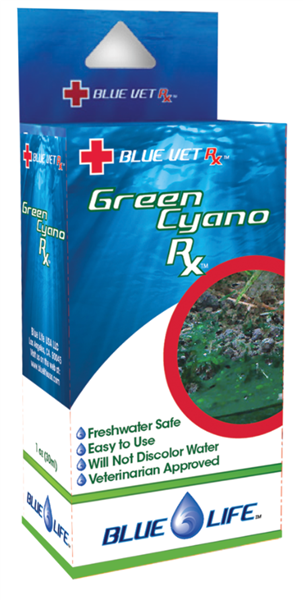 BlueLife Green Cyano Rx