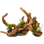 Blue Ribbon Exotic Ornaments - Driftwood Centerpiece with Plants - Large