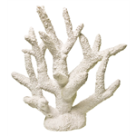 Blue Ribbon Exotic Ornaments - Staghorn Coral -  White