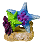 Blue Ribbon Exotic Ornaments - Sea Star Duo with Plant