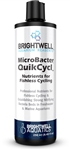 Brightwell MicroBacter QuikCycl 60mL