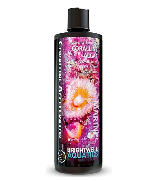 Brightwell Coralline Accelerator 500mL