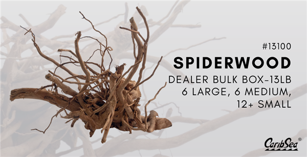 Caribsea Scaper's Select Dealer Bulk Box Spiderwood (6L, 6M, 12+Sm) 13 lb
