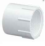 PVC Female Adapter 1" - SxT WHITE