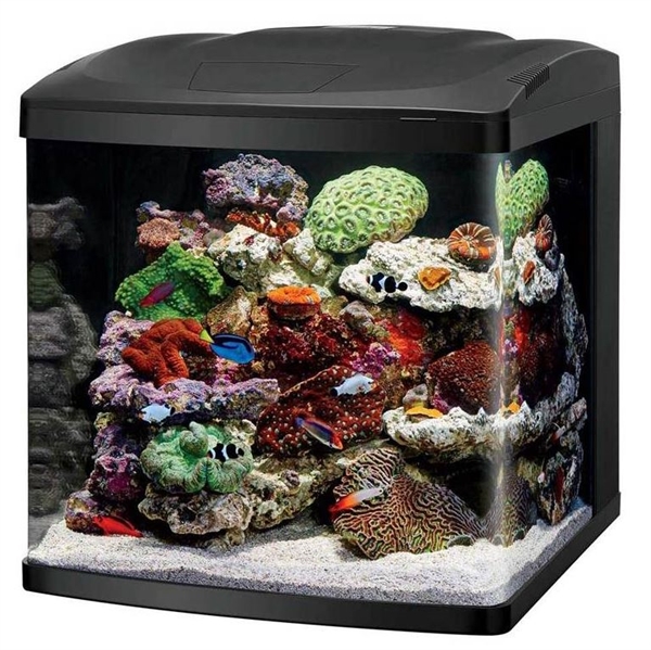 Coralife BioCube LED 32 Gallon