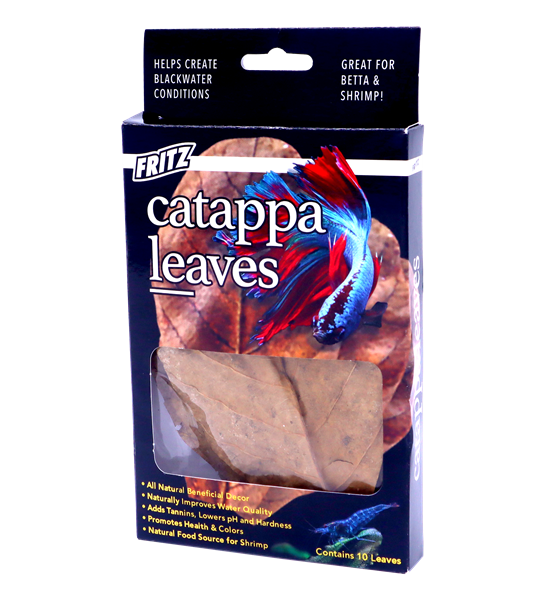 Fritz Catappa Leaves - 10 pack