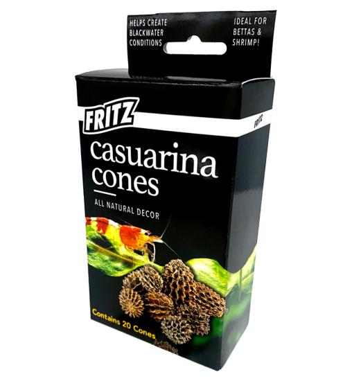 Fritz Casuarina Cones 20pk