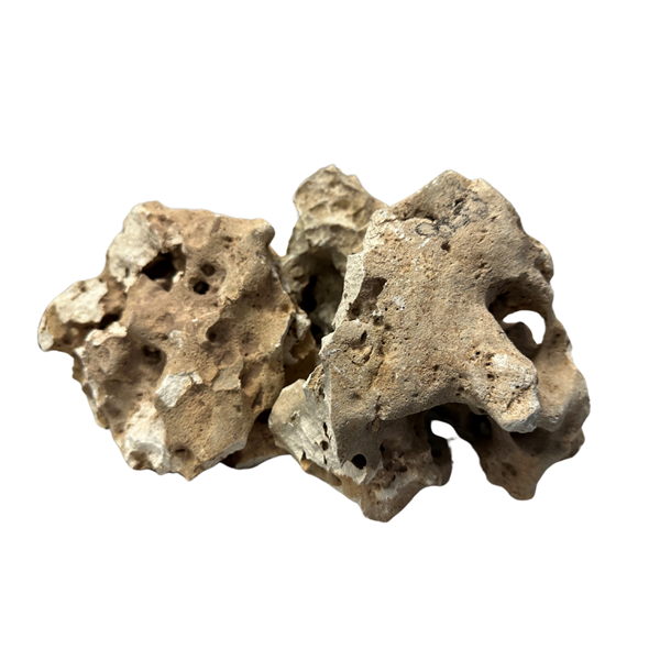 Feller Stone - Honeycomb Rock 20 lbs