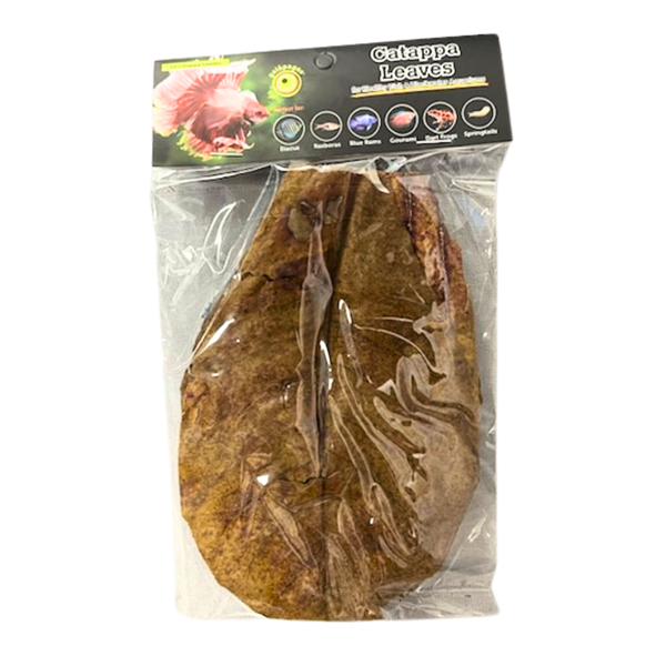 Galapagos Catappa Leaves - 10pk