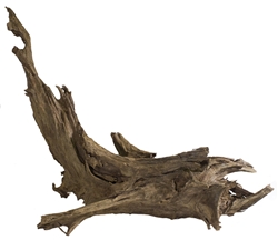 Galapagos Driftwood Large 18"-24"