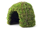 Galapagos Mossy Dome Green 6" Diameter