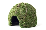 Galapagos Mossy Dome Green 9"  Diameter