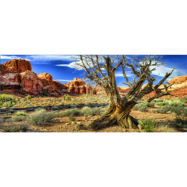 Galapagos Terrarium Clings Desert 15"x36"